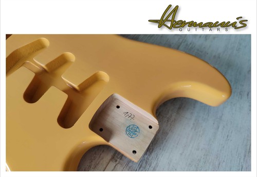 Pezzi korpus chitarra - pezzi,
