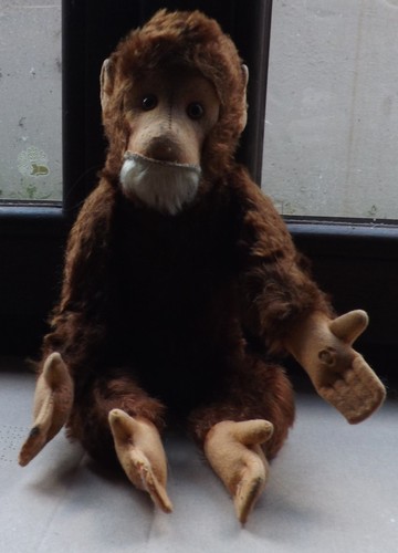 Bellissimo steiff hermann - steiff??,